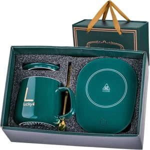 Electric Heating Ceramic Mug